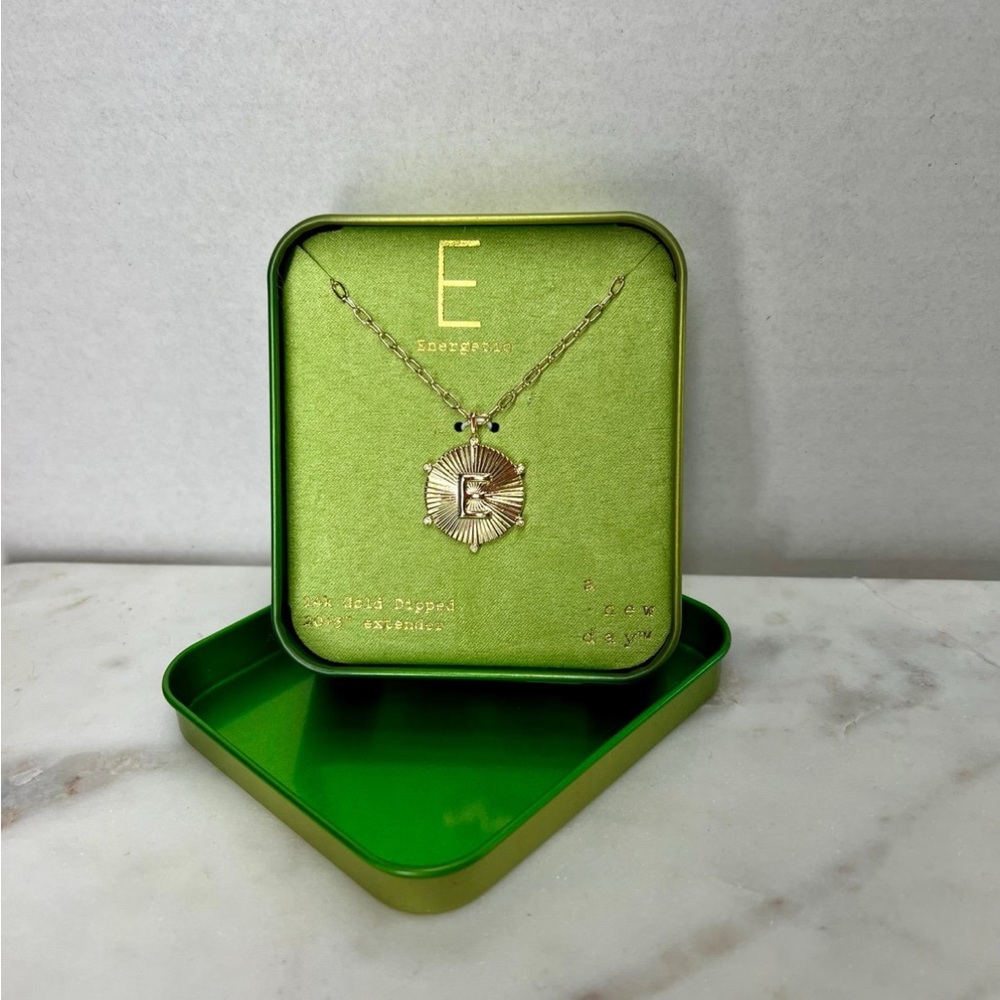 NWT! A New Day 14K Gold Dipped Diamond Ray Disc Initial "E" Pendant Necklace